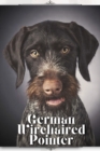 Image for German Wirehaired Pointer : Dog breed overview and guide