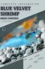 Image for Blue Velvet Shrimp