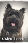 Image for Cairn Terrier