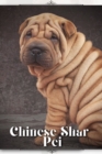 Image for Chinese Shar-Pei