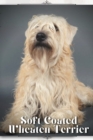 Image for Soft Coated Wheaten Terrier