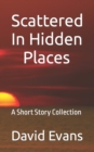 Image for Scattered In Hidden Places : A Short Story Collection