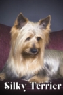 Image for Silky Terrier : Dog breed overview and guide