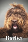 Image for Barbet : Dog breed overview and guide