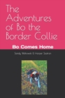 Image for The Adventures of Bo the Border Collie : Bo Comes Home