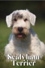 Image for Sealyham Terrier : Dog breed overview and guide