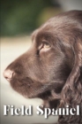 Image for Field Spaniel : Dog breed overview and guide
