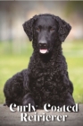 Image for Curly-Coated Retriever : Dog breed overview and guide