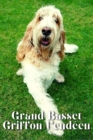 Image for Grand Basset Griffon Vende´en : Dog breed overview and guide