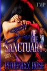 Image for Sins of the Sanctuary