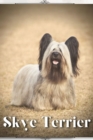 Image for Skye Terrier : Dog breed overview and guide