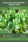 Image for Crassula undulatifolia - Ripple Jade