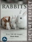 Image for Rabbits : Perfect Picture Photo Book