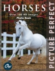 Image for Horses : Picture Perfect Photo Book