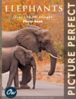 Image for Elephants : Picture Perfect Photo Book