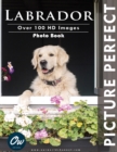Image for Labrador : Picture Perfect Photo Book