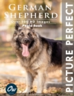 Image for German Shepherd : Picture Perfect Photo Book
