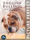 Image for English Bulldog : Picture Perfect Photo Book