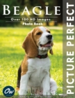 Image for Beagle : Picture Perfect Photo Book