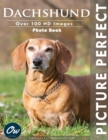 Image for Dachshund : Picture Perfect Photo Book