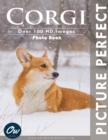 Image for Corgi : Picture Perfect Photo Book