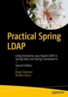Image for Practical Spring LDAP : Using Enterprise Java-Based LDAP in Spring Data and Spring Framework 6