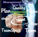 Image for Management strategies How Solve Organizational Challanges