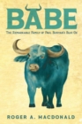 Image for Babe