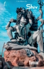 Image for shiv