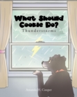 Image for What Should Cookie Do?: Thunderstorms