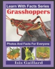 Image for Grasshoppers Photos and Facts for Everyone : Animals in Nature