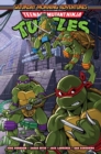 Image for Teenage Mutant Ninja Turtles: Saturday Morning Adventures, Vol. 3