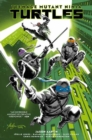 Image for Teenage Mutant Ninja Turtles, Vol. 1: Return to New York