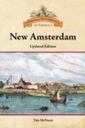 Image for New Amsterdam
