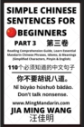 Image for Simple Chinese Sentences for Beginners (Part 3) - Idioms and Phrases for Beginners (HSK All Levels)