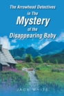 Image for Arrowhead Detectives in The Mystery of The Disappearing Baby