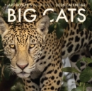 Image for 2026 Big Cats Wall Calendar