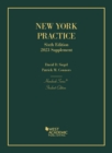 Image for New York Practice, Student Edition, 2023 Supplement
