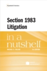 Image for Section 1983 Litigation in a Nutshell