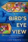 Image for Bird&#39;s Eye View: A Tapestry of Maya Mythology, Motherhood, and Making Life Anew
