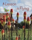 Image for Lesson in Flying