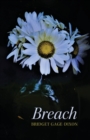 Image for Breach