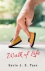 Image for Walk of Life