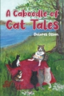 Image for Caboodle of Cat Tales