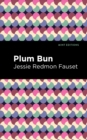 Image for Plum Bun : A Novel Without a Moral