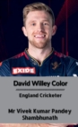 Image for David Willey Color