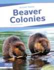 Image for Beaver Colonies
