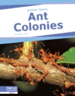 Image for Animal Teams: Ant Colonies