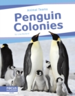 Image for Animal Teams: Penguin Colonies