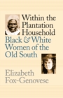 Image for Within the Plantation Household: Black and White Women of the Old South